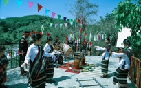 Loạt phim Việt chiếu vào dịp Halloween