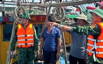 Nghệ An: Cấm tàu thuyền ra khơi trong bão số 11