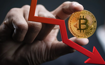 Thị trường tiền số hôm nay, 8-10: Bitcoin có thể đạt mức 140.000 USD