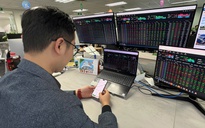 Chứng khoán mất 200 điểm: Diễn biến bình thường