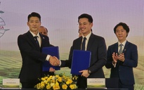 Trưng bày 1.000 cây trà trên 100 tuổi tại Lễ hội Trà Quốc tế 2025