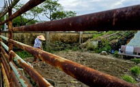 Cận cảnh hoang tàn ở Bệnh viện Phục hồi chức năng cũ tại Đà Nẵng