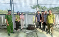 2 con vật quý hiếm xuất hiện ở Đà Nẵng