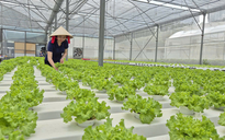 Tháo điểm nghẽn cho nông sản sạch TP HCM