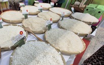 Chủ tịch VFA nói gì về việc Philippines dừng nhập khẩu gạo đến hết năm 2025?