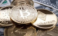 Thị trường tiền số hôm nay, 12-11: Xuất hiện tín hiệu lạ