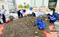 Điều tra vụ nhập lậu hơn 25 tấn vỏ đạn quân dụng vào Việt Nam