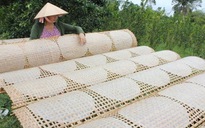 Về Phú Hòa Đông, nghe chuyện chiếc bánh đi muôn nơi
