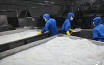 Kinh tế tư nhân - Động lực phải thành thực tế: Trợ lực để kinh tế tư nhân chuyển mình