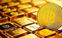 Thị trường tiền số hôm nay, 13-11: Bitcoin lao dốc khi tài sản bí ẩn này tăng mạnh