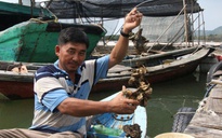 Từ nghề nuôi hàu truyền thống thành thương hiệu du lịch