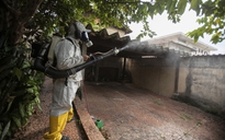 Cảnh báo về sốt xuất huyết và sốt vàng da