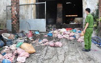 Cận cảnh cơ sở chế biến mỡ quy mô lớn, ẩn mình trong khu nghĩa trang