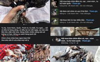 Bị tận diệt, chim hoang dã ngày càng vắng bóng