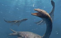 Trung Quốc: Quái vật cổ dài 42 đốt xuất hiện gần Lệ Giang cổ trấn