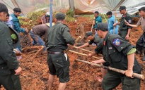 Lâm Đồng: 4 người tử vong, 18 người bị thương trong trận lũ kinh hoàng