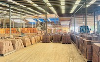 Ngọn lửa hòa hợp đất trời giữa lòng thành phố