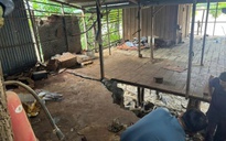 Sạt lở hơn 5 km bờ sông Cái Phan Rang, uy hiếp nhiều nhà dân