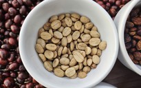 Giá cà phê hôm nay 23-11: Một tuần bão tố
