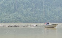 Sau lũ, hồ thủy điện nhận "món hàng" không mong muốn từ rừng sâu