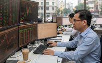 Chứng khoán 24-11: VN-Index tăng mạnh nhưng sắc đỏ vẫn áp đảo thị trường