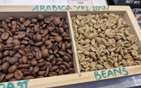 Giá cà phê hôm nay 25-11: Robusta đột ngột đi xuống, Arabica tăng mạnh 