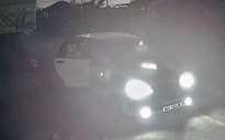 Camera an ninh bắt trọn khoảnh khắc đối tượng đi ô tô nhanh tay trộm chó ở Tây Ninh