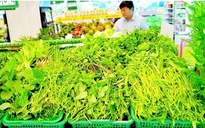 Ưu tiên hàng hóa cho vùng lũ