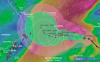 Bão số 15 vào Biển Đông, các tỉnh, thành từ Quảng Trị - Lâm Đồng chủ động ứng phó