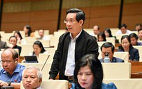 Đại biểu Nguyễn Văn Cảnh đề xuất bổ sung quy định "gói hàng hoá" để kịp thời cứu trợ lũ lụt