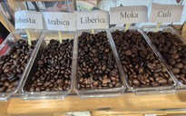 Giá cà phê hôm nay 26-11: Tăng 3 con số trở lại