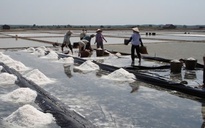 Hạt muối Lý Nhơn “vượt sóng”