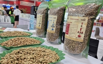 Giá cà phê hôm nay 28-11: Tăng trở lại, Malaysia mê cà phê Việt