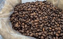 Giá cà phê hôm nay 27-11: Đảo chiều giảm trở lại