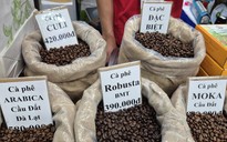Giá cà phê hôm nay 29-11: Thêm phiên tăng và định hướng mới của cà phê Việt