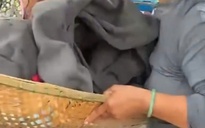 Giám đốc Sở Y tế Đắk Lắk: Vụ việc "không nhận người tới tránh lũ" không nên xảy ra