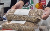 Giá cà phê hôm nay 3-11: Một loại cà phê nhân giá 650.000 đồng/kg