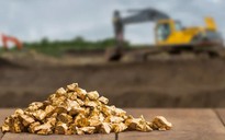 Công ty đào vàng lớn nhất Việt Nam giữa cơn sốt giá vàng lập đỉnh