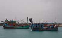 Khánh Hòa: Khẩn trương kêu gọi tàu thuyền tránh trú bão Kalmaegi