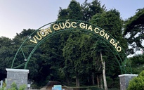 TPHCM: Thành lập Hạt Kiểm lâm rừng đặc dụng Vườn Quốc gia Côn Đảo