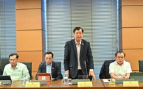 Người nước ngoài làm giám đốc doanh nghiệp nhà nước, có phải kê khai tài sản, thu nhập?