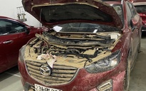 Bảo hiểm chi trả hàng trăm tỉ đồng tiền bồi thường thiệt hại do bão, lũ