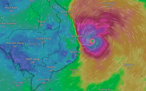 Bão số 13 Kalmaegi giật trên cấp 17, còn cách Quy Nhơn 190 km