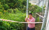 Cận cảnh khu vực nguy cơ sạt lở khiến 81 người ở Vũng Tàu phải di dời trong đêm