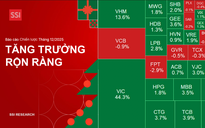 Chứng khoán Việt Nam không có bong bóng, xác suất tăng điểm tháng 12 tới 75%