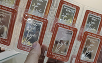 Giá bạc hôm nay 10-12 tăng cao kỷ lục, vượt mọi dự báo