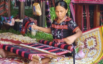 Thoát nghèo nhờ tham gia hợp tác xã