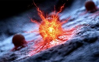 Các nhà nghiên cứu Mỹ tìm thấy “tử huyệt” của ung thư