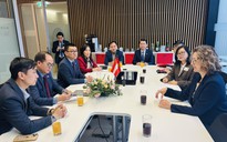 Sang Châu Âu... trồng nho: Cơ hội mới, lương hấp dẫn