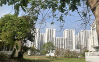 Người trẻ vẫn quyết tâm mua nhà dù giá cao kỷ lục